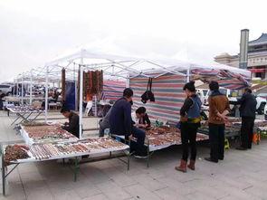 阿拉善展会爆料信息最新,绿色科技盛宴即将启幕  第2张